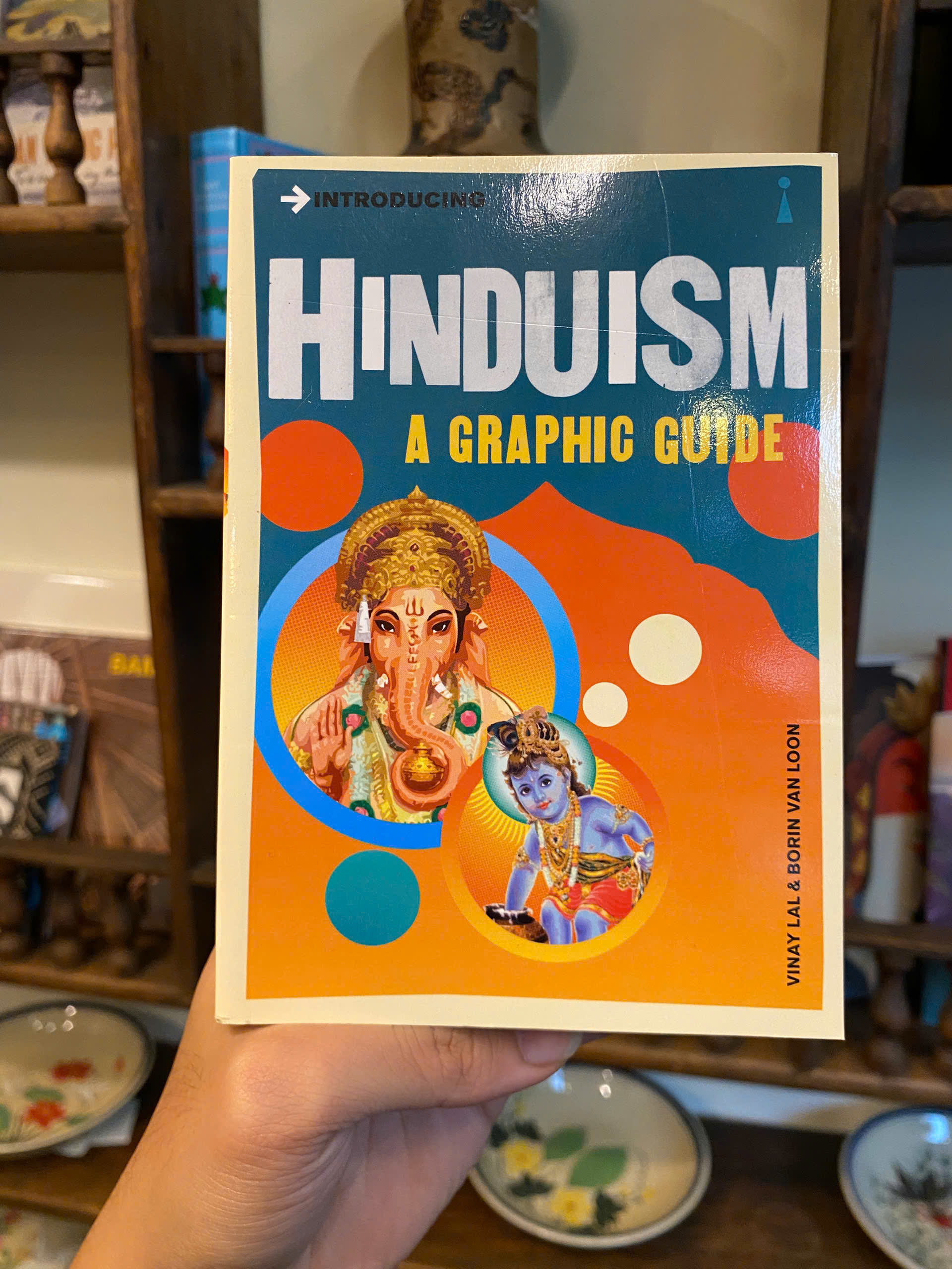Sách - Introducing Hinduism A Graphic Guide by Vinay Lal - Religion/Nonfiction/Hinduism/English book