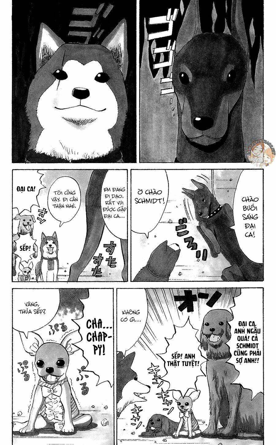 nanba mg5 chapter 34.5 4