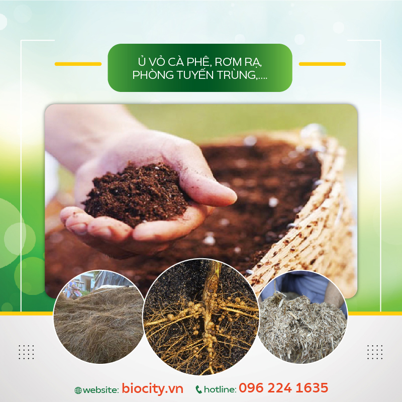 Phân thuốc sinh học về nấm trichoderma, nấm đối kháng, vàng lá, thối rễ - 1kg