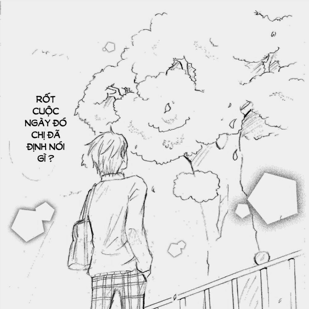 four corners chapter 3 55