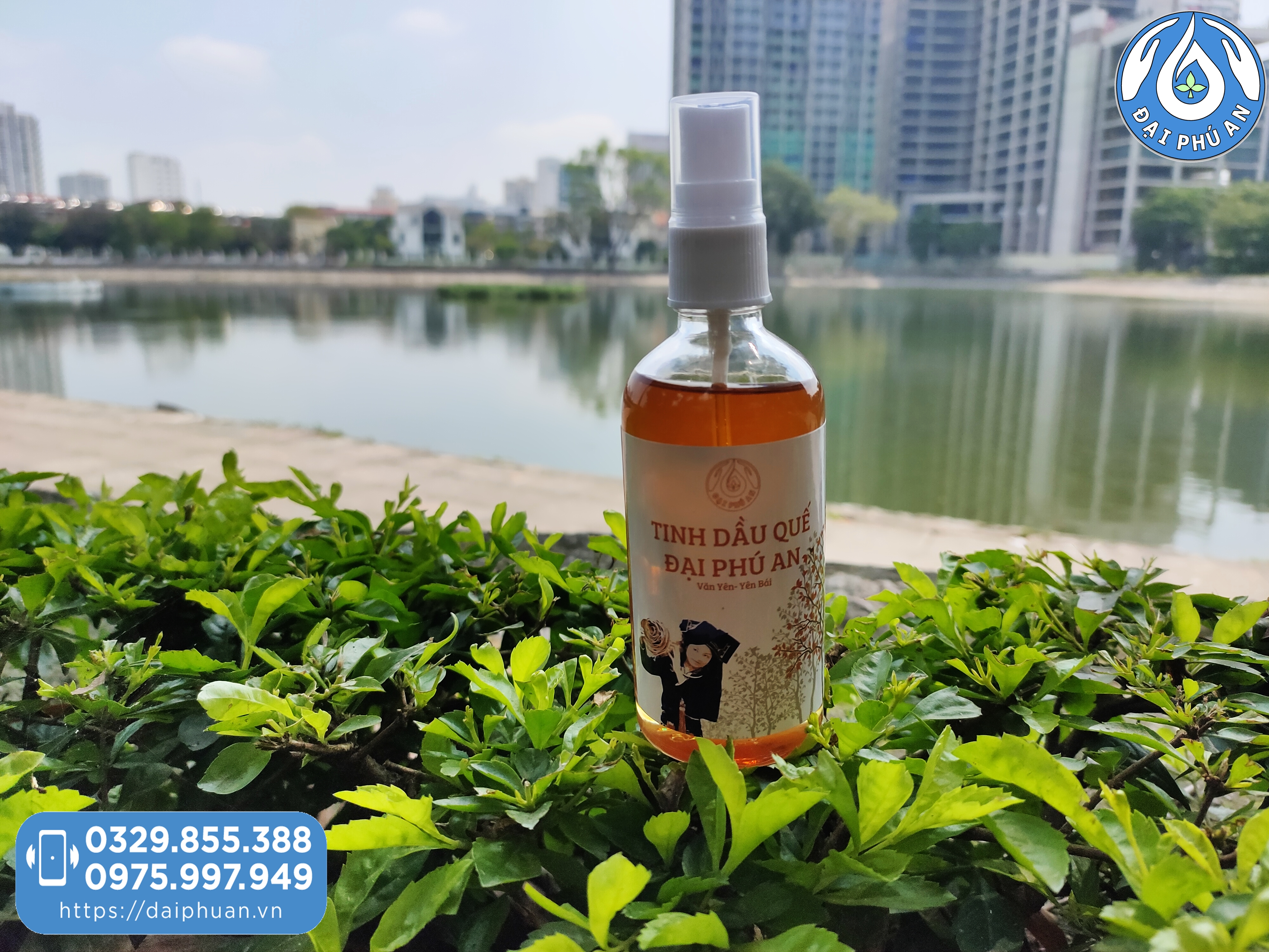 Tinh dầu Quế nguyên chất Đại Phú An Chai 100ml