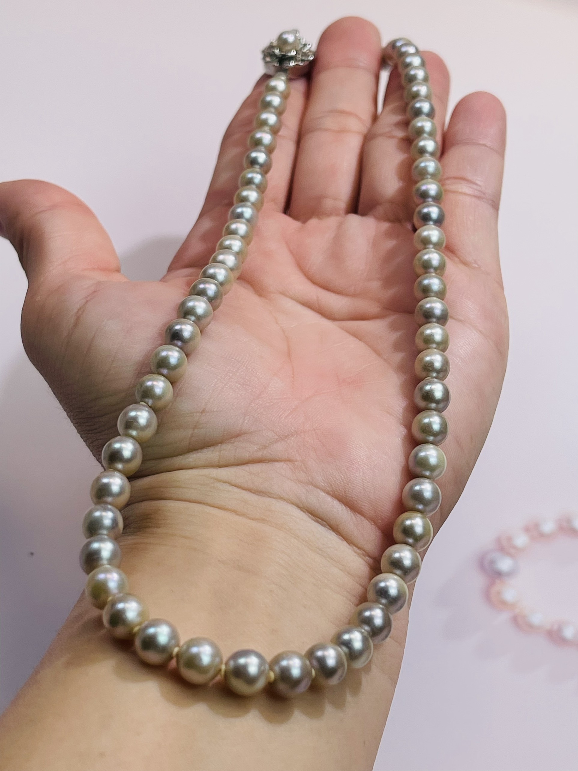Vòng cổ Trai mặn Akoya màu Nhũ đồng
