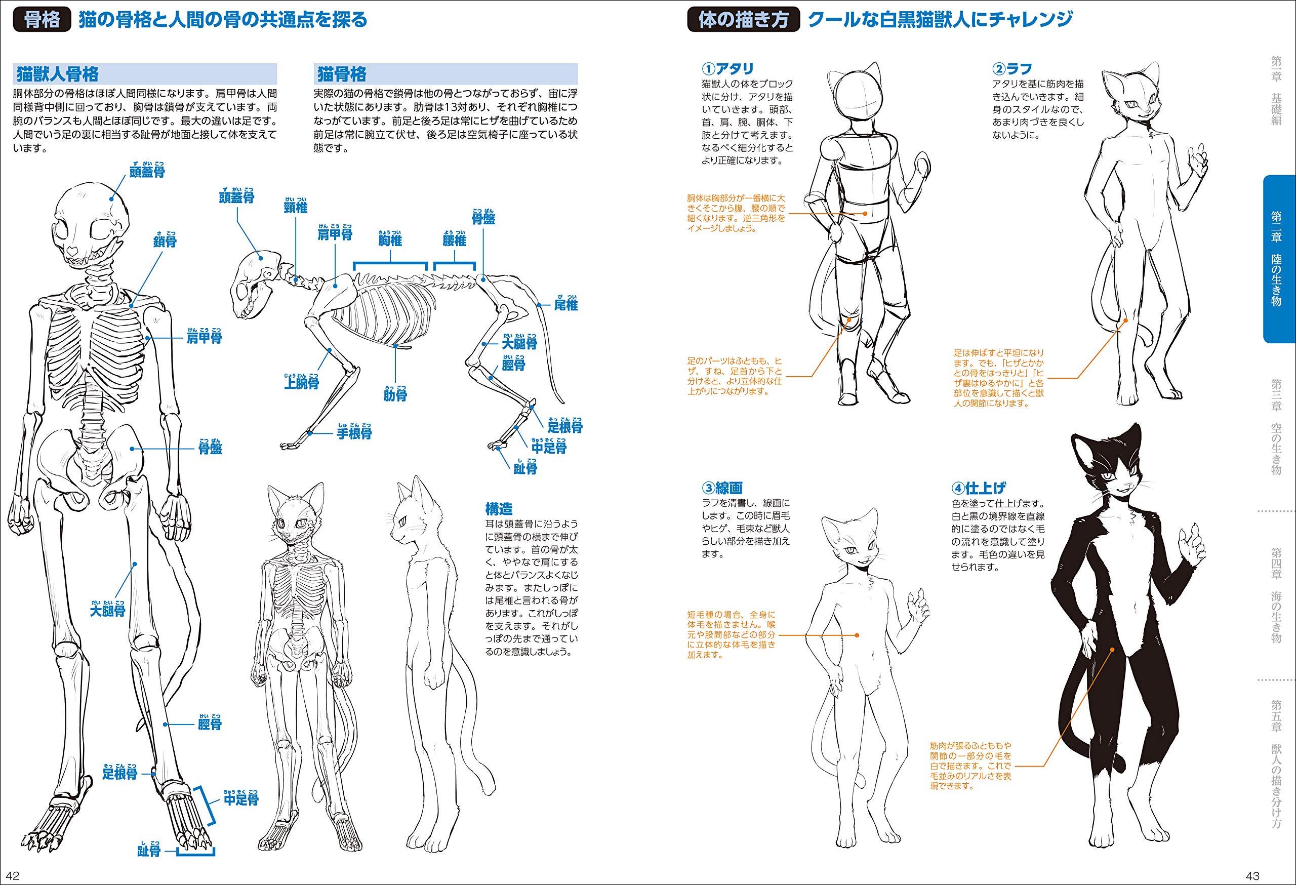 獣人の描き方 SHISHIJIN NO EGAKI KATA RIARUKEMO KARA DEFORUMEKE