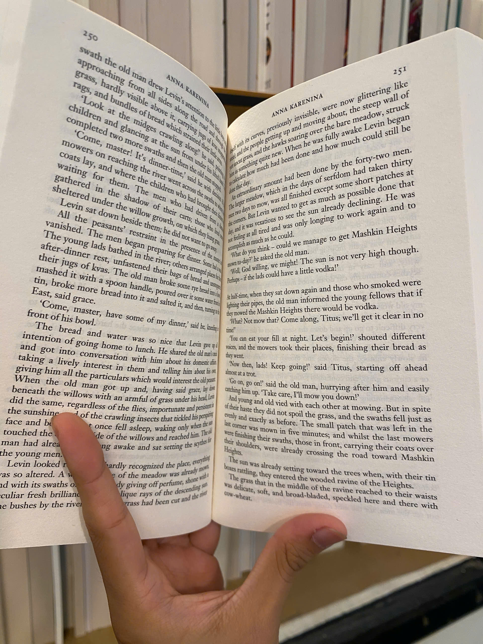 Sách - Anna Karenina by Leo Tolstoy - (Wordsworth Classics)