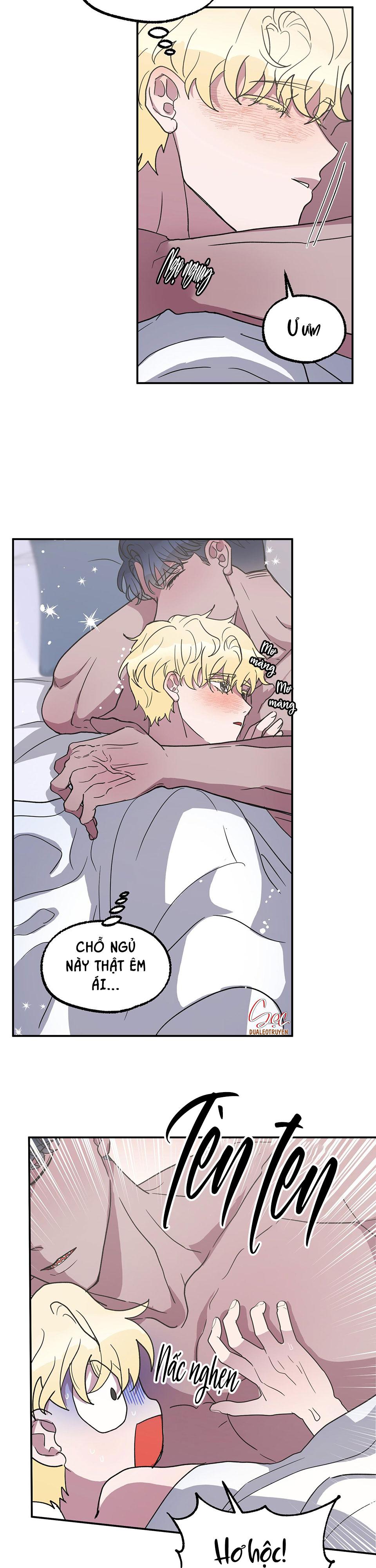 cá mập và cô dâu thỏ chapter 4 2