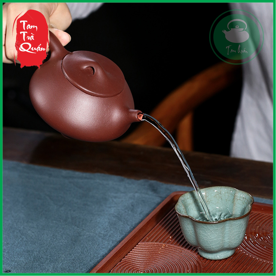 Ấm Tử Sa Thạch Biều Cảnh Chu Tử Nê 240ml