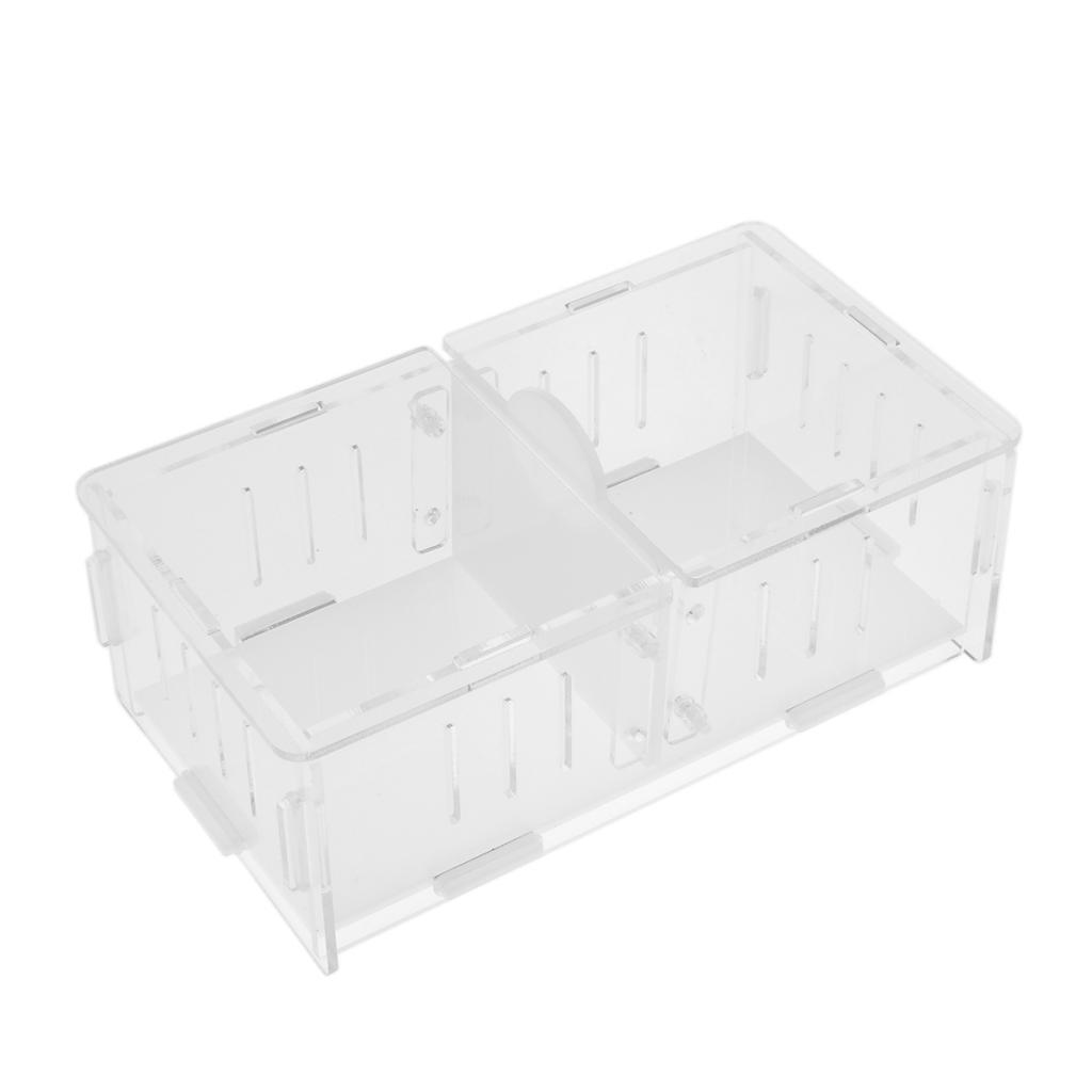 1x Reptile Cage Food Feeding Container For Spider Frog Cricket Turtle