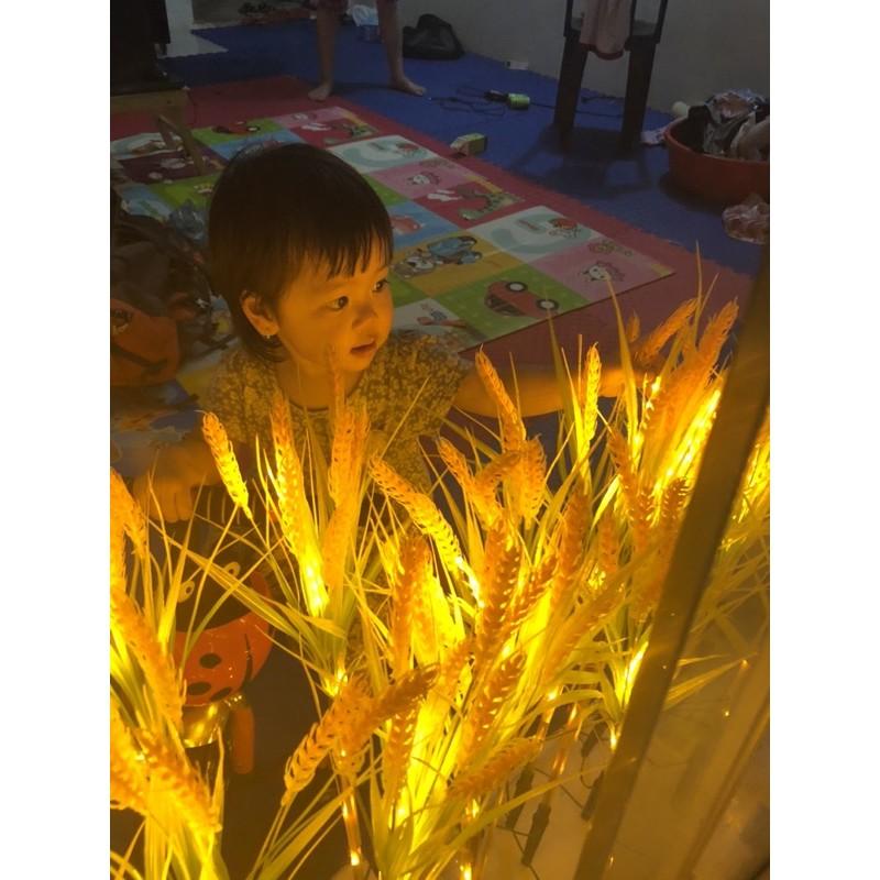 Đèn led bông lúa,đèn led luá mạch,đèn sân vườn
