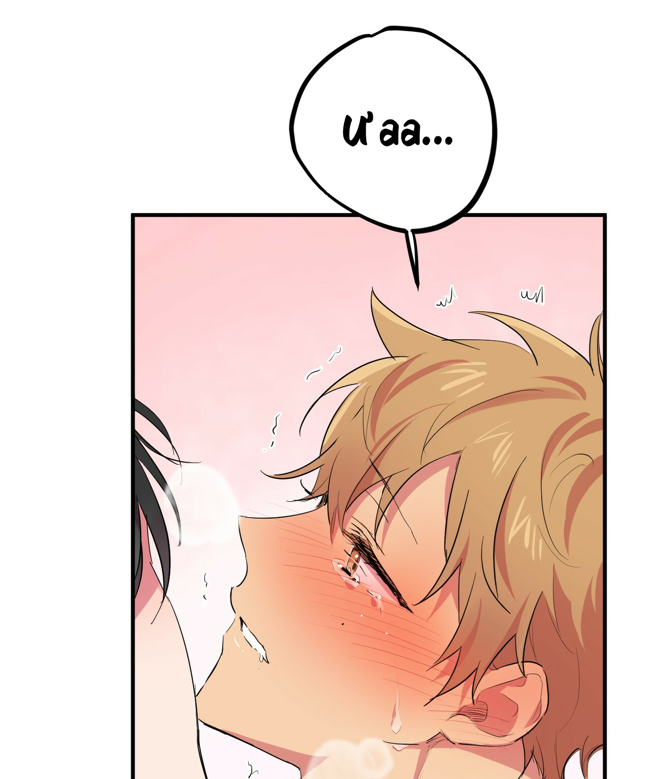 những chú thỏ của hapypy chapter 11 116