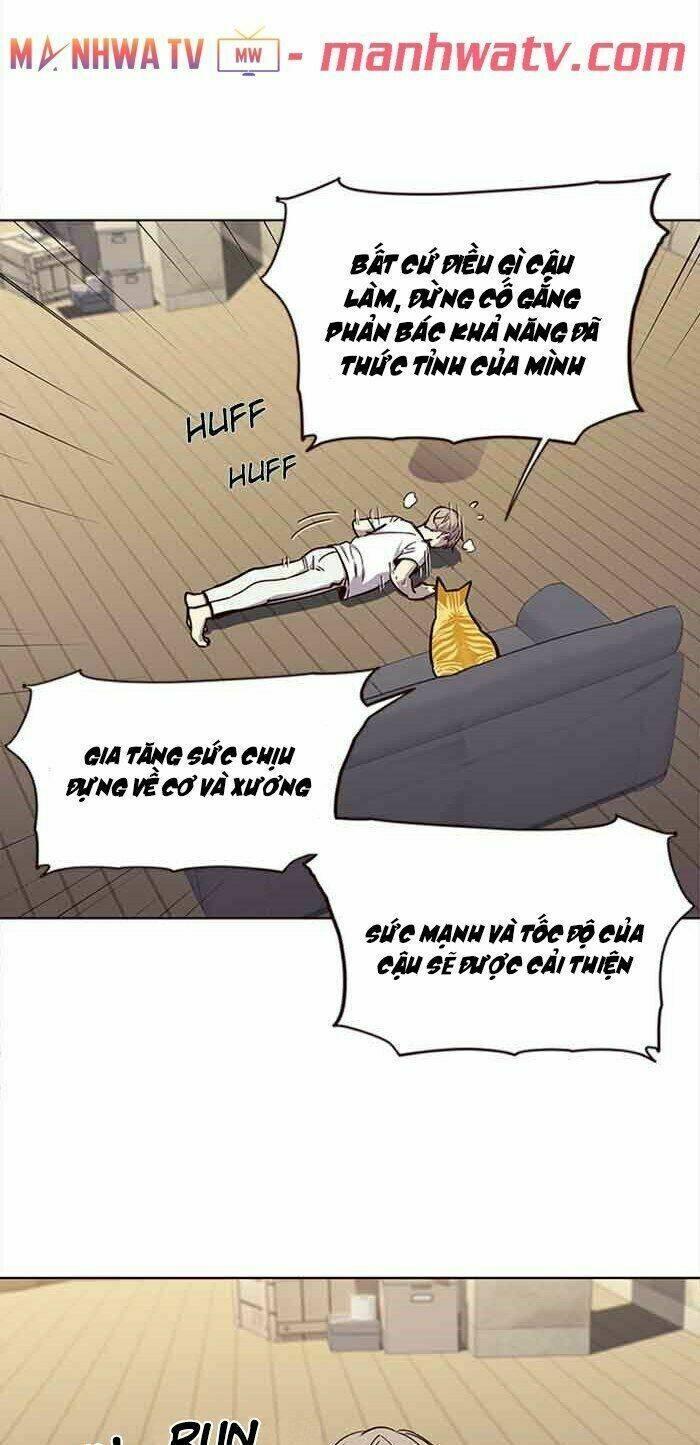 biến thân thành mèo chapter 23 19