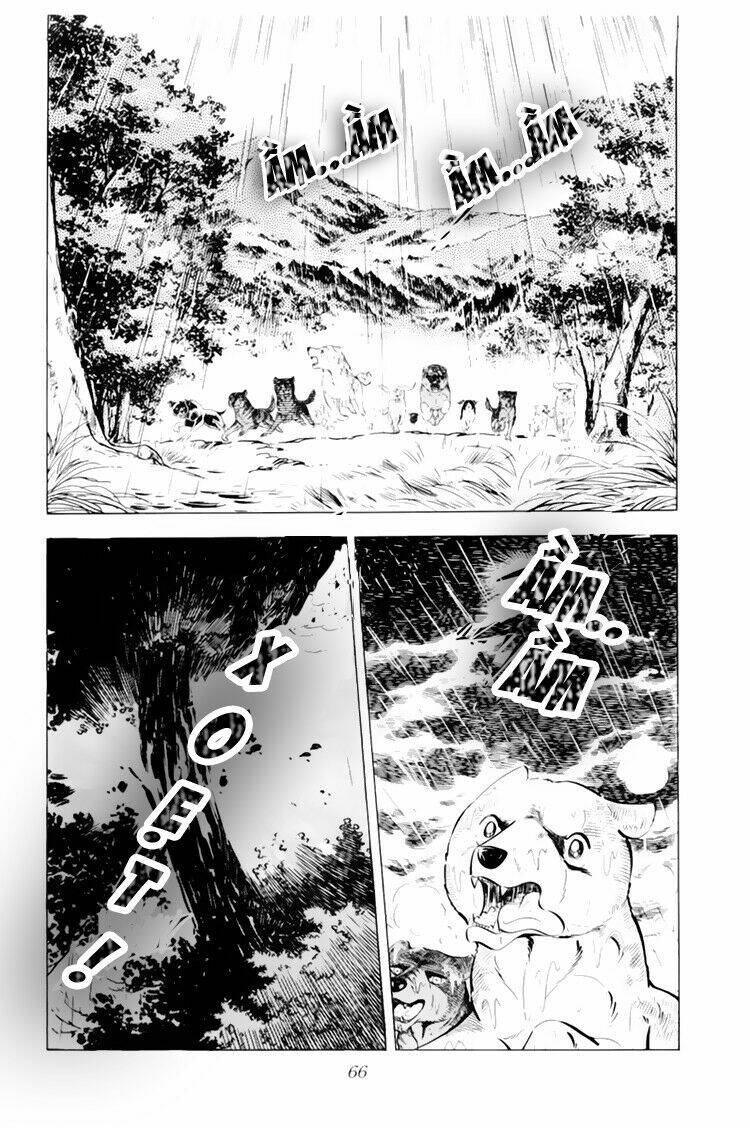 chú chó có nghĩa - ginga nagareboshi gin chapter 32 20