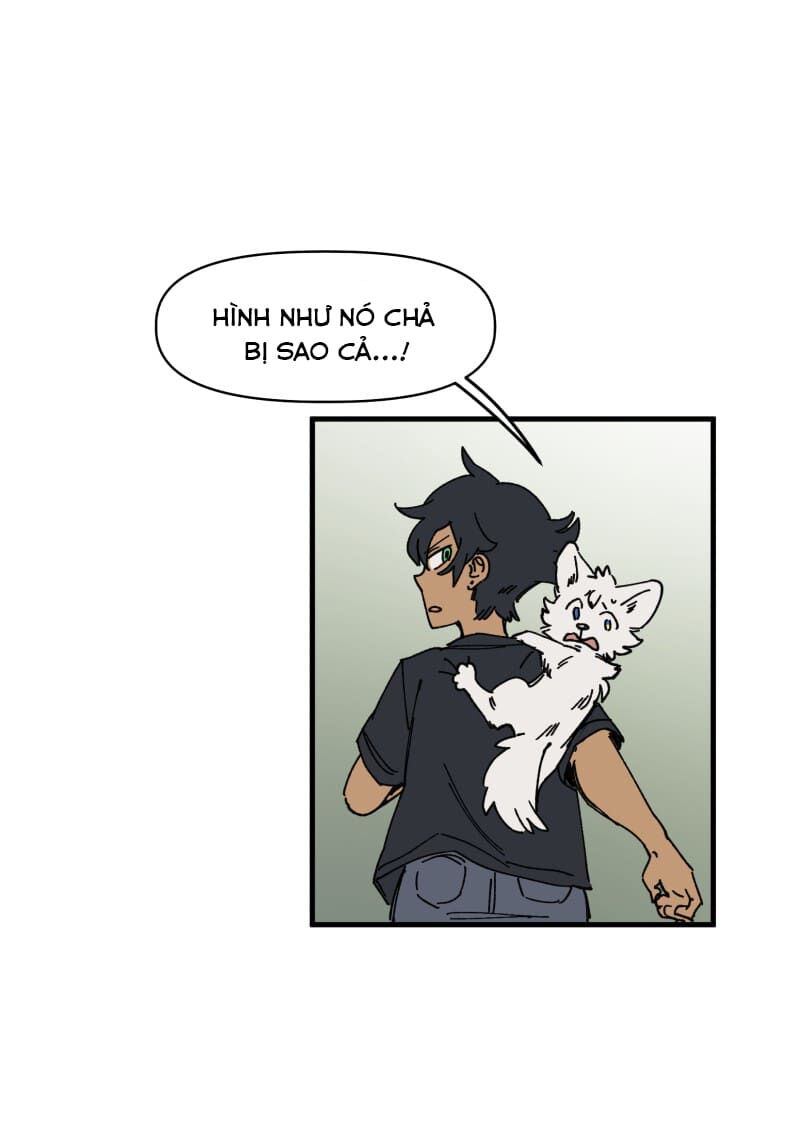 lumine - cội nguồn ánh sáng chapter 127 17