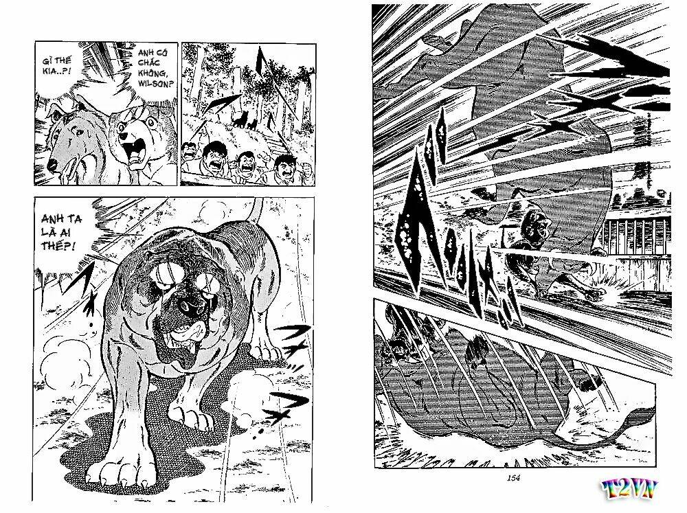 chú chó có nghĩa - ginga nagareboshi gin chapter 28 16