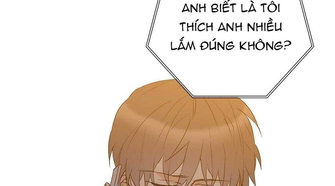 guide cấp b chapter 37 38