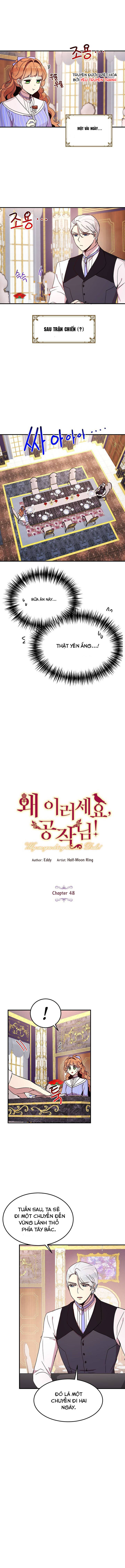 tại sao ngài làm điều này, công tước chapter 48 1