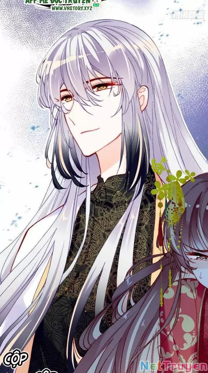 lại bị bệnh chiều chuộng quấn lấy chapter 4 6