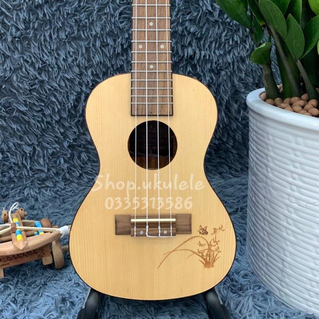 ĐÀN UKULELE CONCERT HOA tròn 23INCH