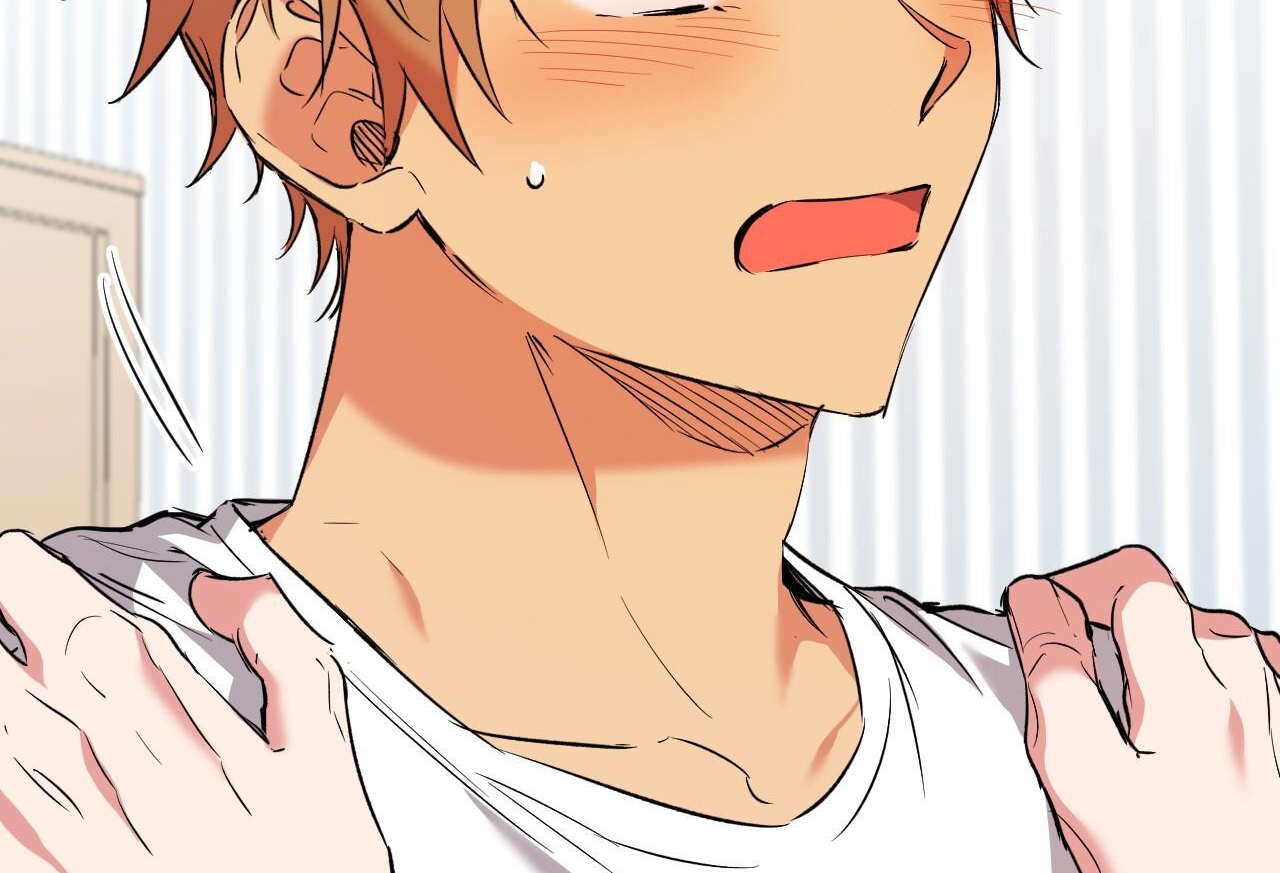 những chú thỏ của hapypy chapter 57 75