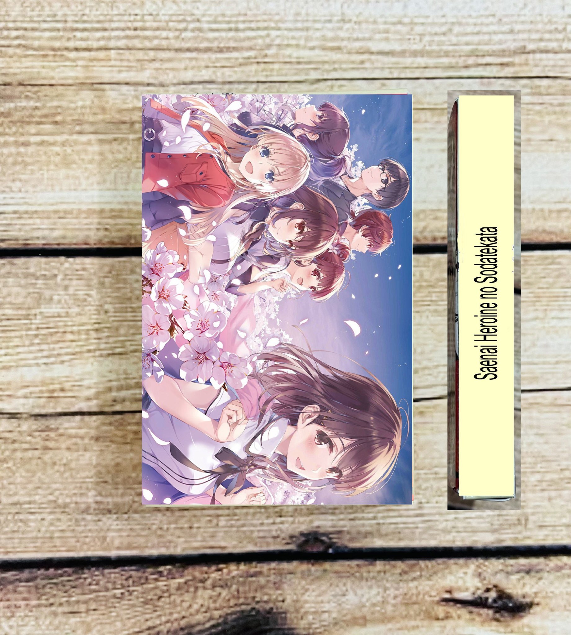 Bộ lomo card Saenai Heroine no Sodatekata 30 ảnh khác nhau/ hộp Thẻ card Saenai Heroine no Sodatekata