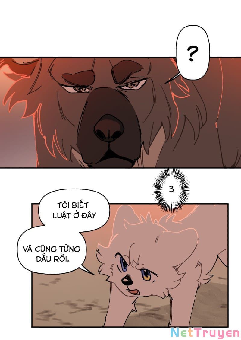 lumine - cội nguồn ánh sáng chapter 107 7