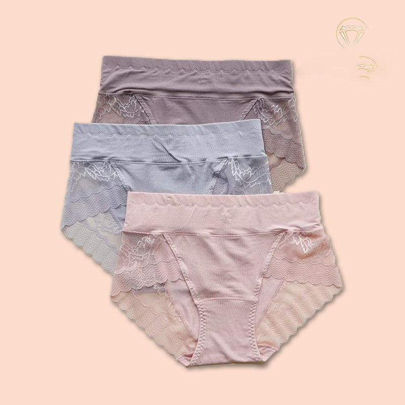 COMBO 5 QUẦN LÓT GEN BỤNG CẠP CAO CHẤT COTTON PHA REN LC16