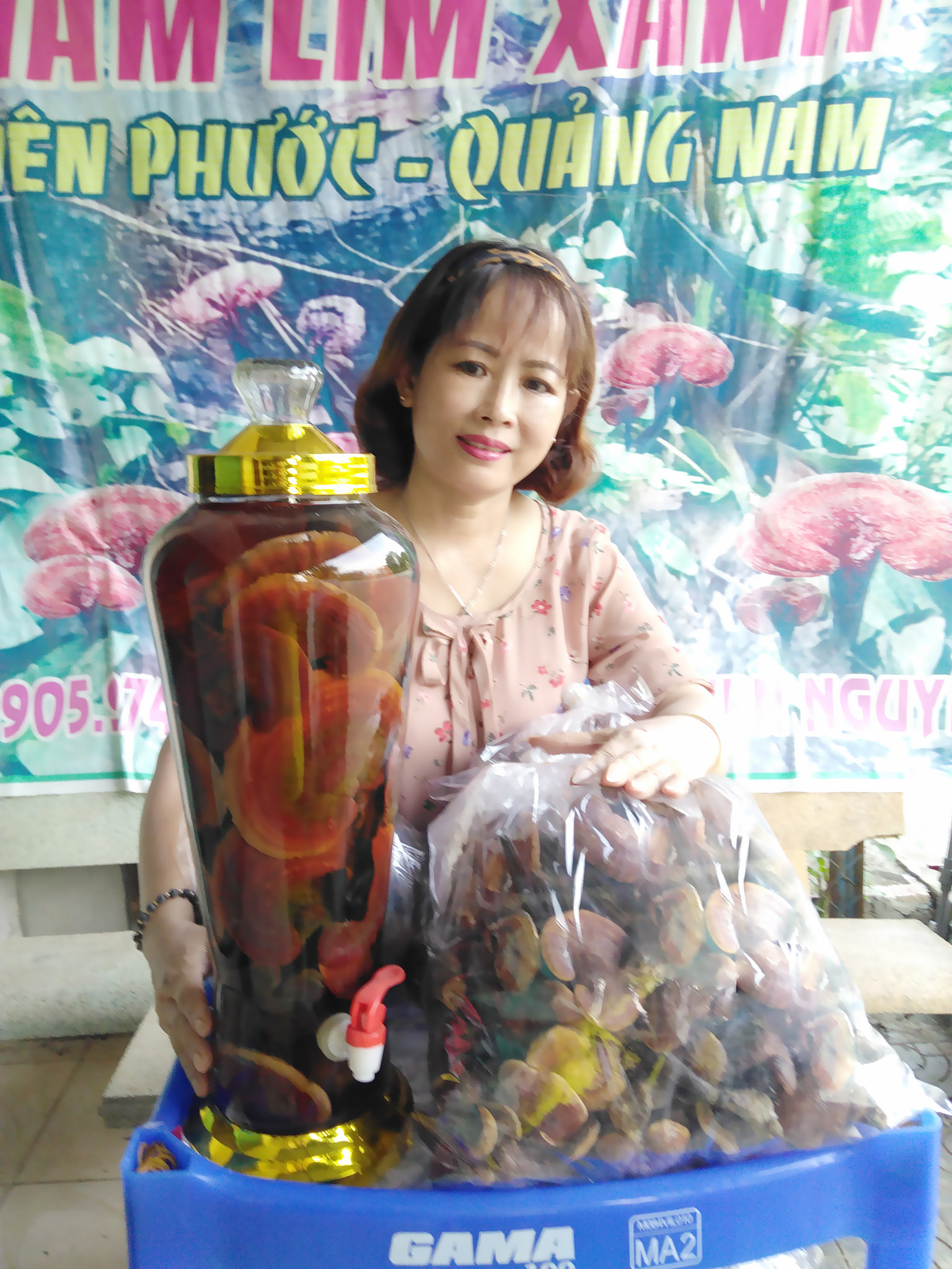 Nấm lim rừng 100% Tiên Phước Quảng Nam