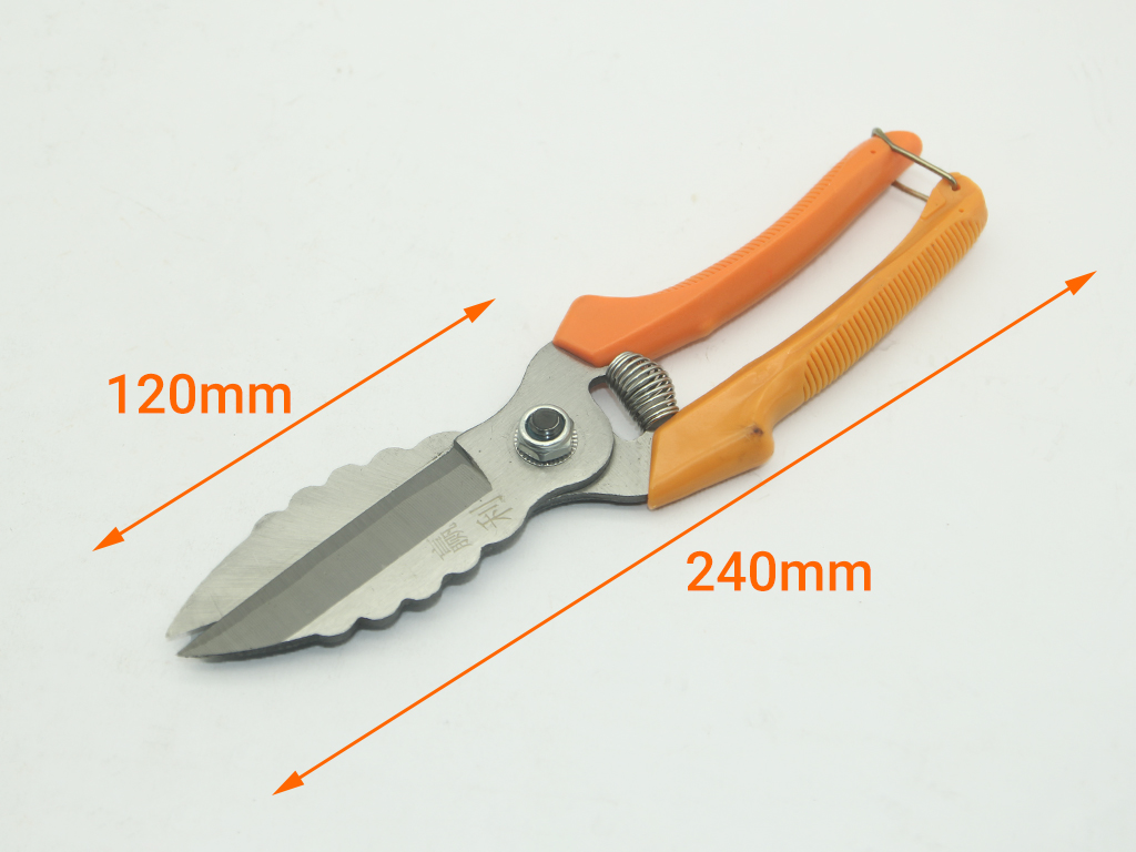 Kéo thu hoạch tỏi và trái cây lượn sóng