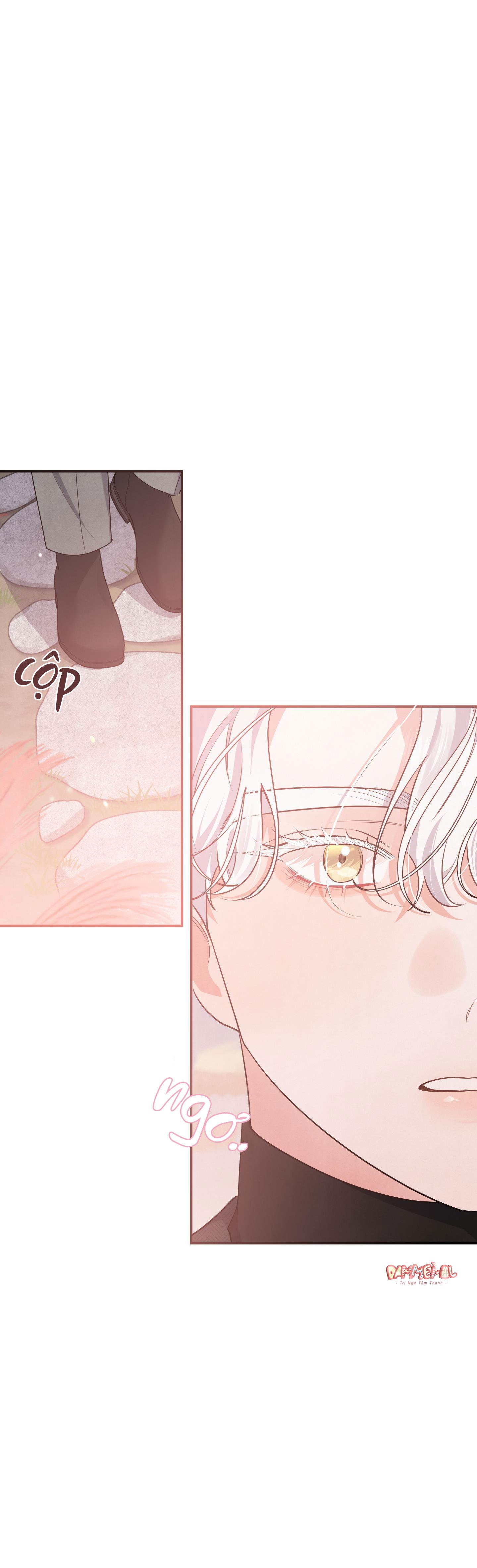 mối quan hệ ngu ngốc chapter 26 25