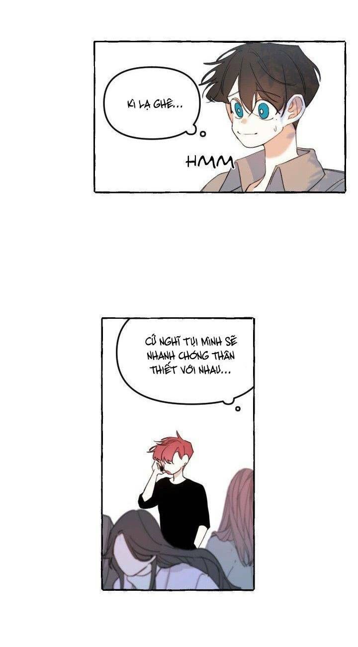 lời yêu thì cần app để dịch không? chapter 10 14