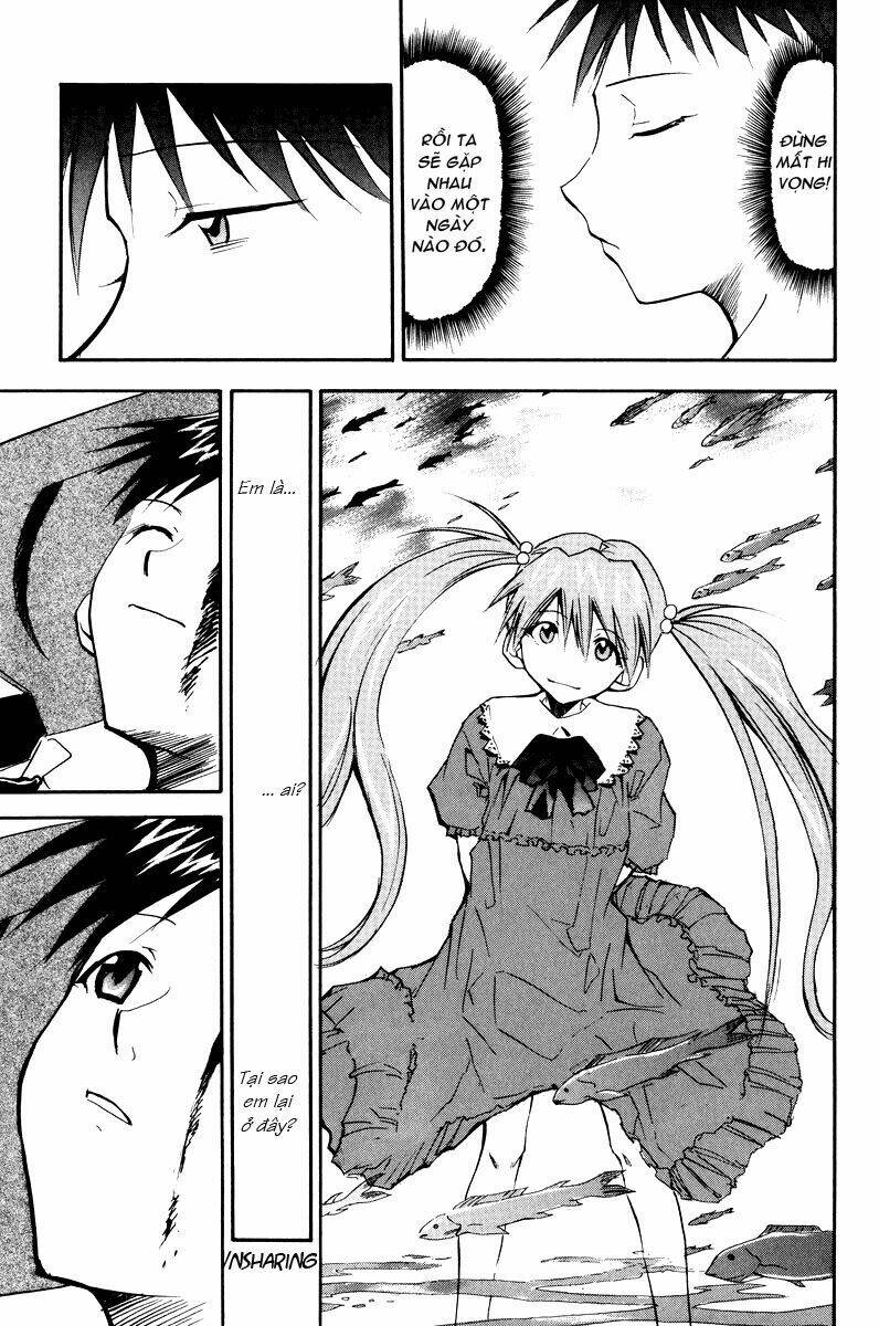 re-take chapter 19 5