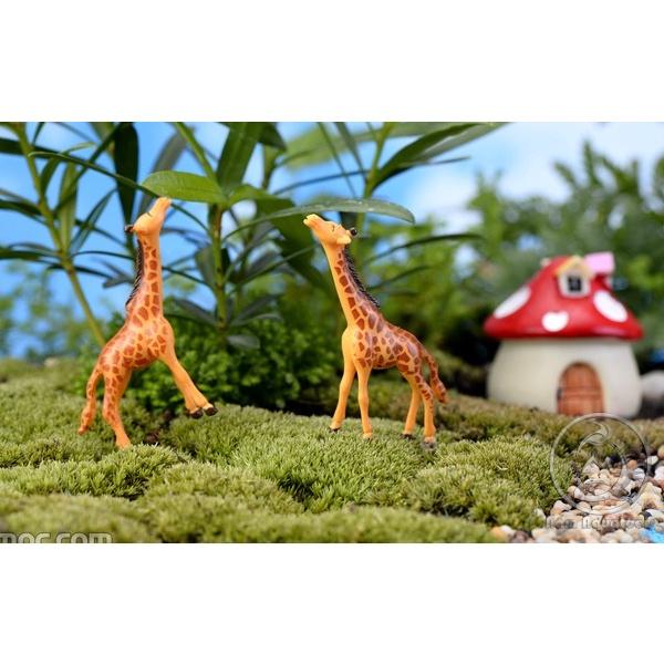 Mô Hình Hươu Cao Cổ Trang Trí Hồ Cá Cảnh / Trang Trí Bể Bán Cạn / Tiểu Cảnh Sen Đá, Xương Rồng