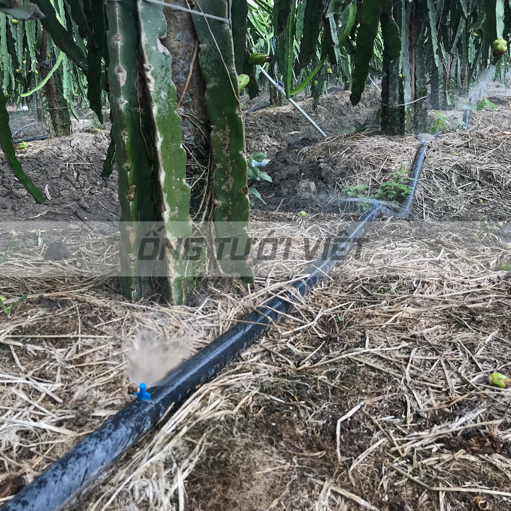 150m Ống dây tưới mềm Nguyễn Tân phi 42 - Không đục lỗ | Ống mềm sử dụng trong hệ thống tưới nông nghiệp