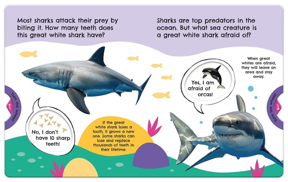 First Facts Sharks (Turn-the-Wheel Books)