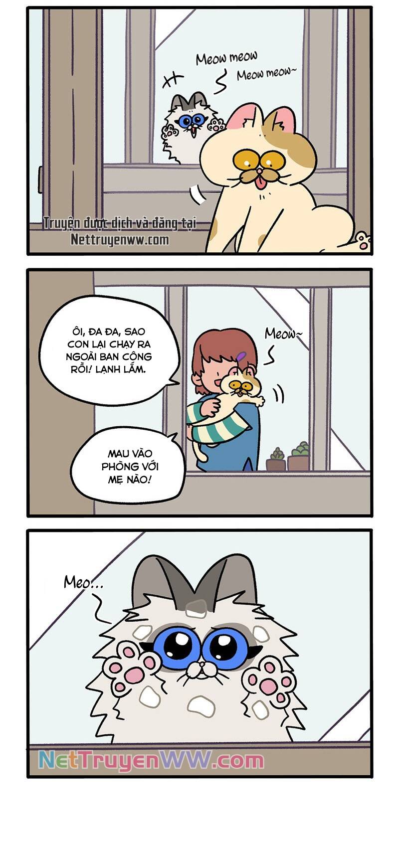 a mãn và mạch trà chapter 48 2