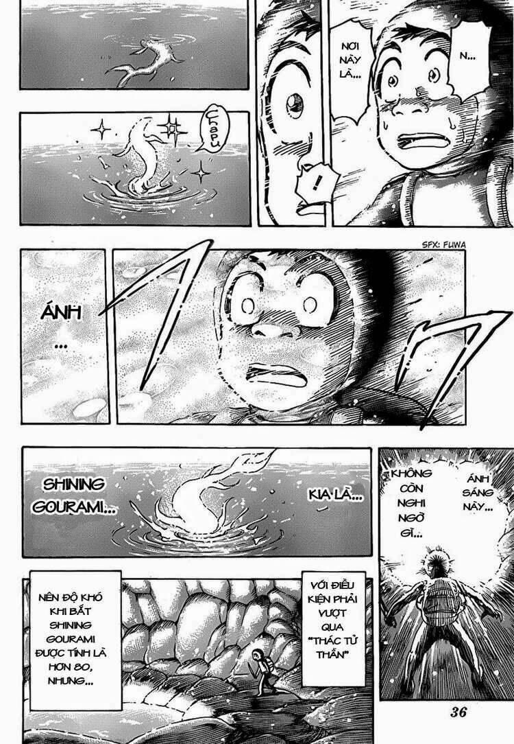 thợ săn ẩm thực chapter 154 15