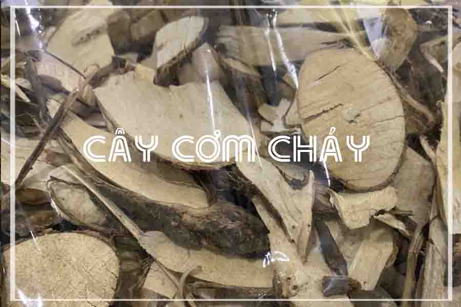 Cây Cơm Cháy khô sạch đóng gói 1kg