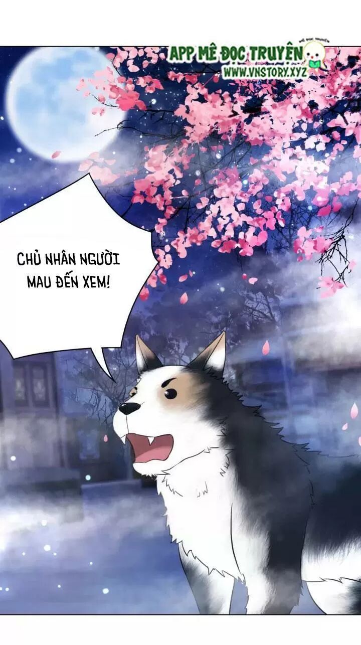 cực phẩm phế vật tiểu thư chapter 105 19