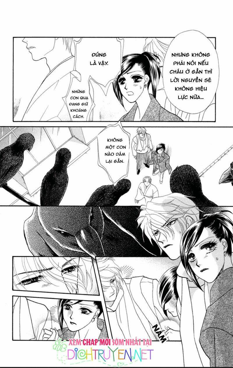 đóa hồng dành tặng seri chapter 5 5