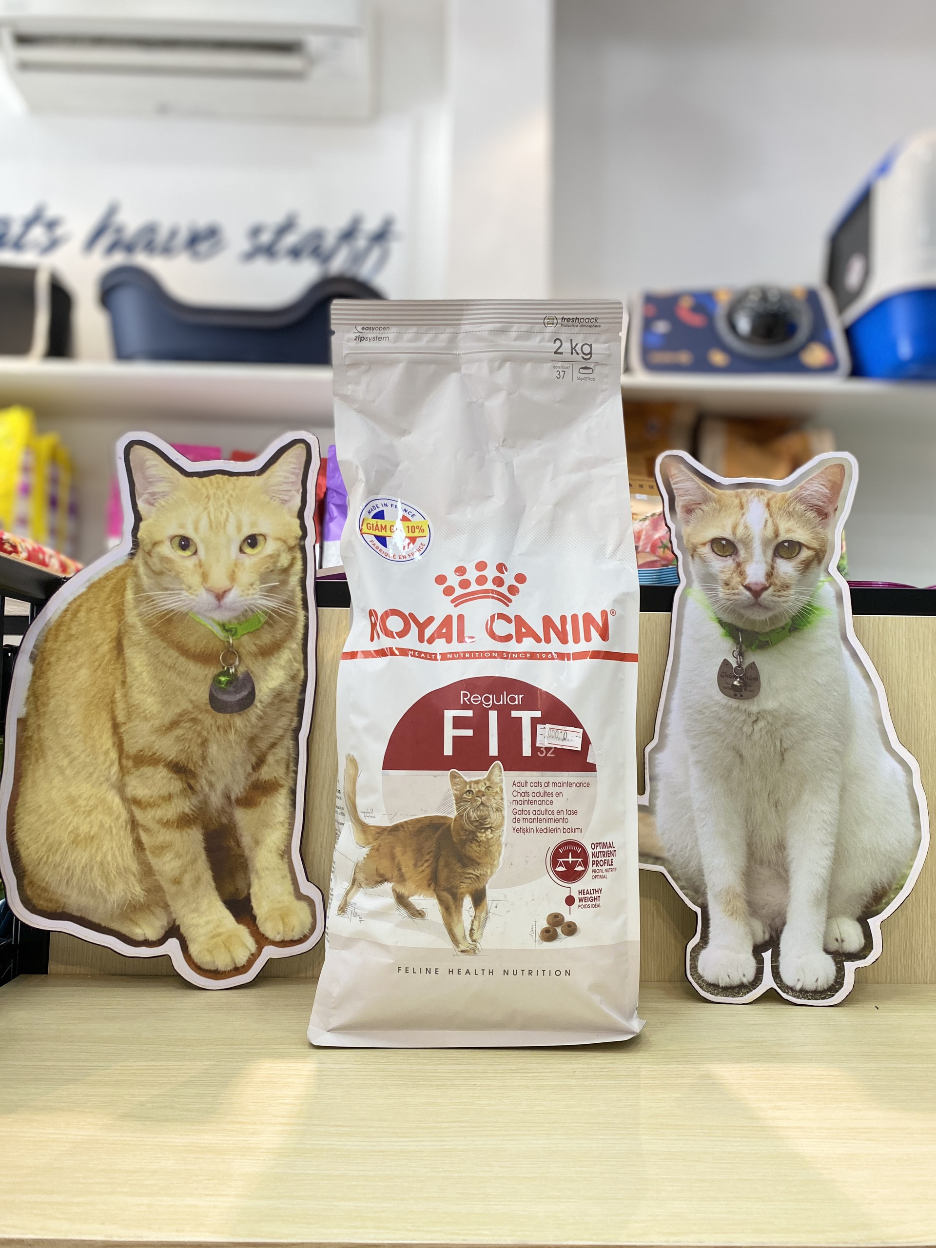 Royal Canin FIT32- HẠT MÈO FIT 32 cho mèo vận động nhiều [Dry cat food]