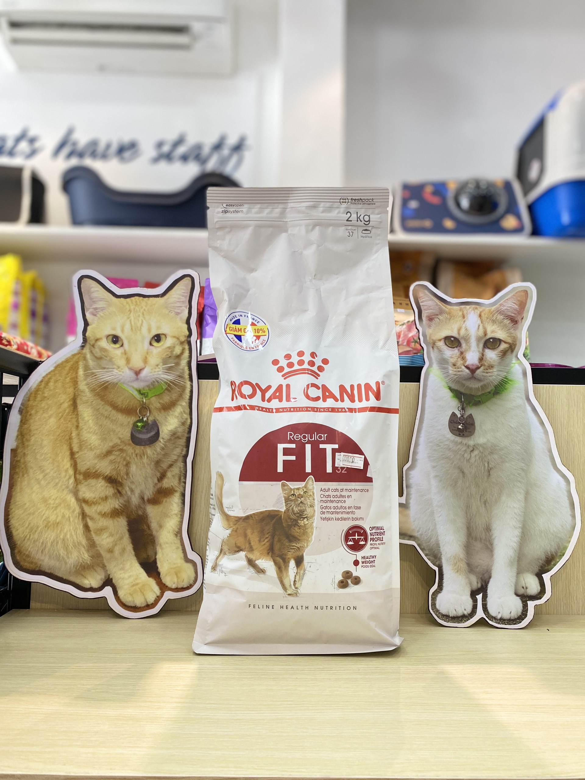 Royal Canin FIT32- HẠT MÈO FIT 32 cho mèo vận động nhiều [Dry cat food