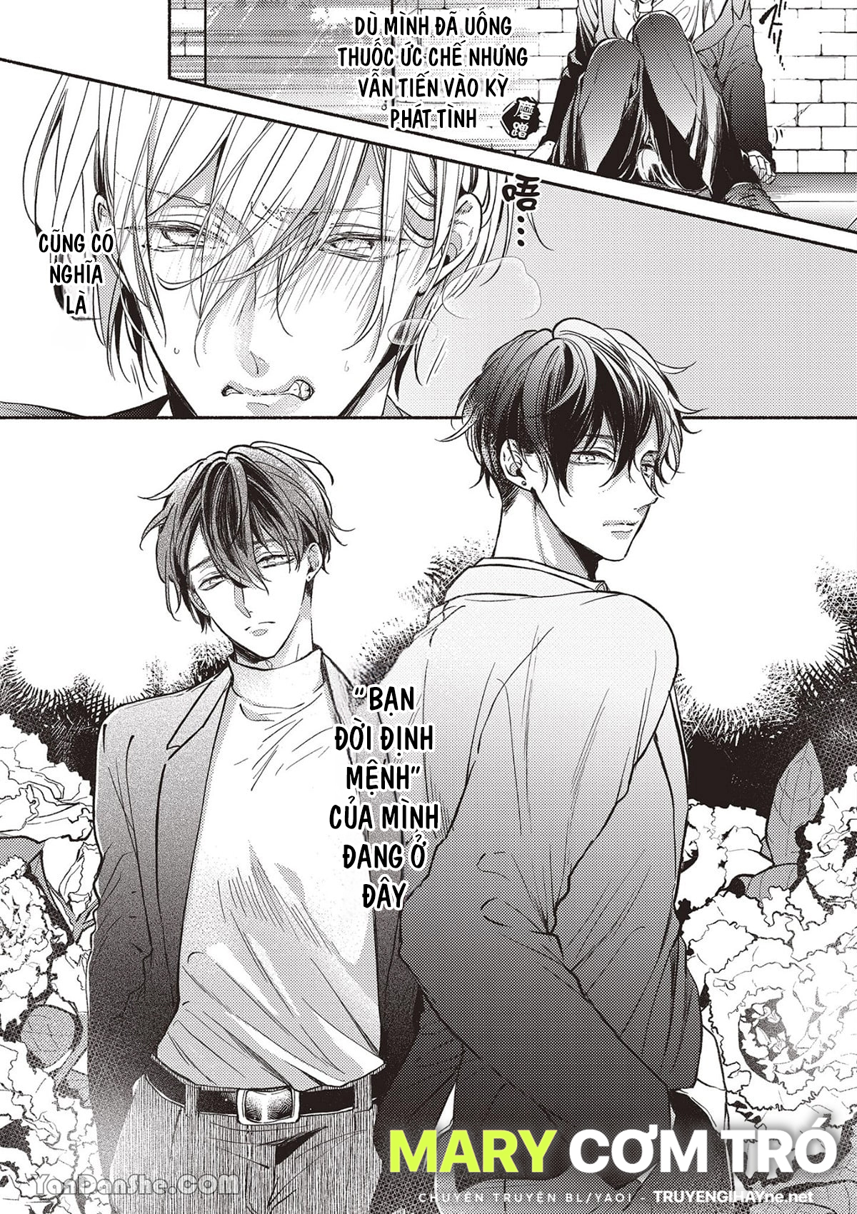 omega mạnh mẽ là bạn đời của chúng tôi chapter 1.1 7