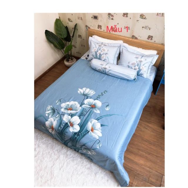 Bộ chăn ga gối cotton living trần bông 5 món