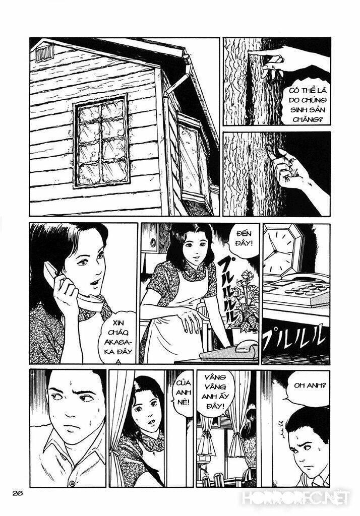 tuyển tập truyện ngắn kinh dị của ito junji chapter 7.3 28