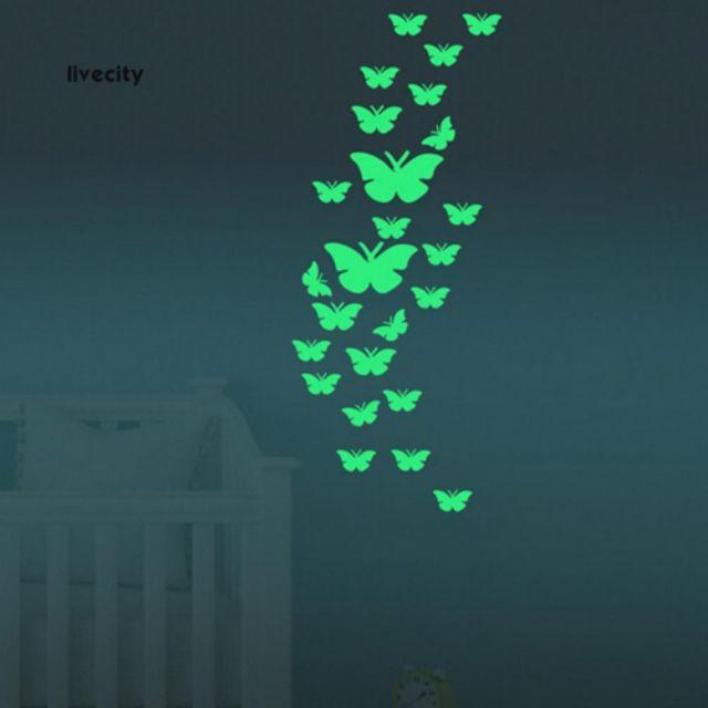 Bướm dạ quang phát sáng trong đêm MS_452