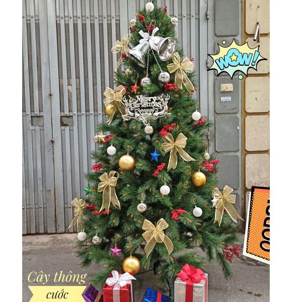 Cây thông noel cước đầu vàng gắn trái đỏ 1m5 - Cây tự động bung ra nên không cần phải trang trí nhiều, Mẫu cây đẹp