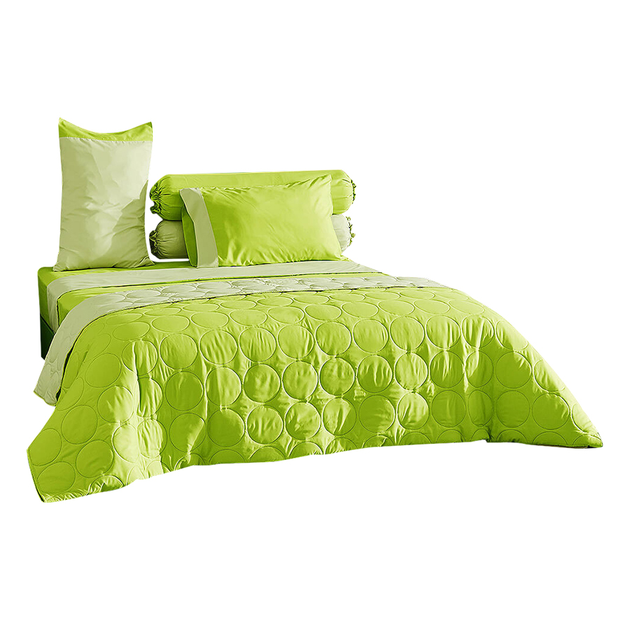 Bộ Drap Lotus Midas Disco BS5-180-MD-D04 1.8 x 2 m