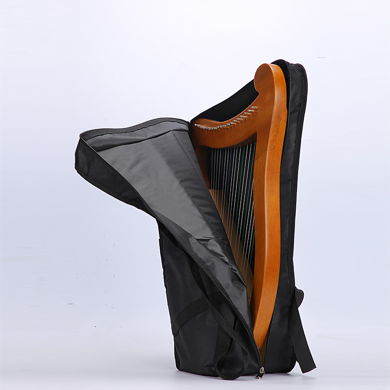 ĐÀN HARP HÃNG WALTER CAO CẤP LOẠI 19 DÂY CÓ BỘ KHÓA CHỈNH THĂNG GIÁNG GIÁ CỰC ƯU ĐÃI
