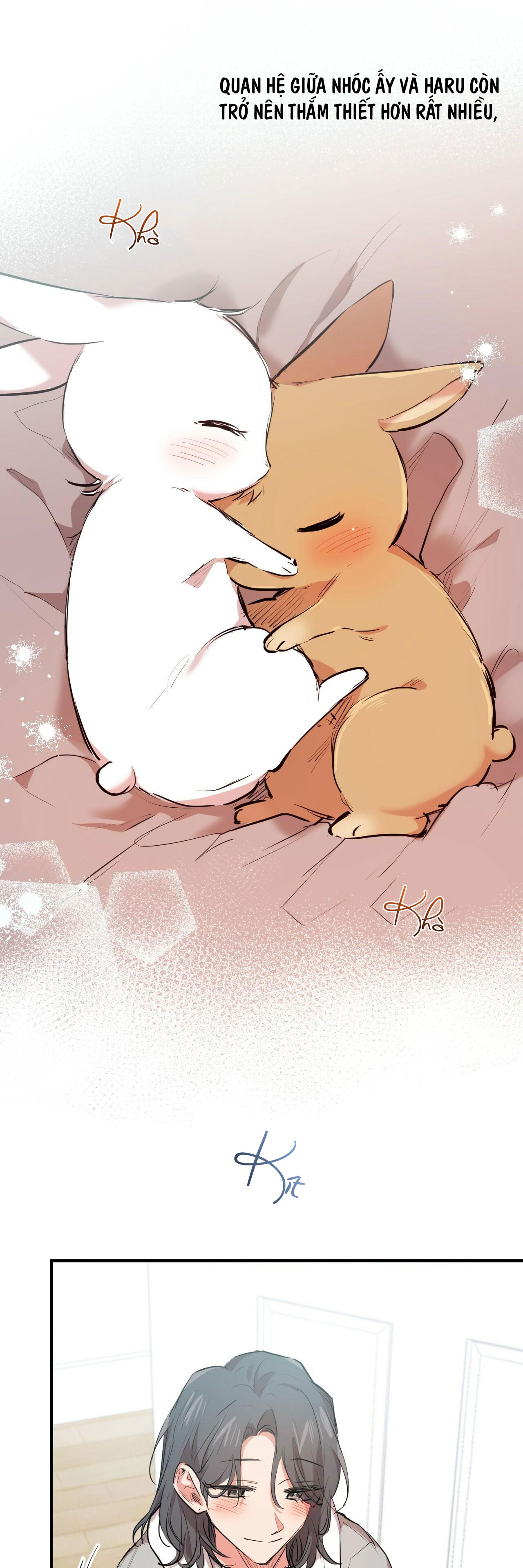 những chú thỏ của hapypy chapter 28 9