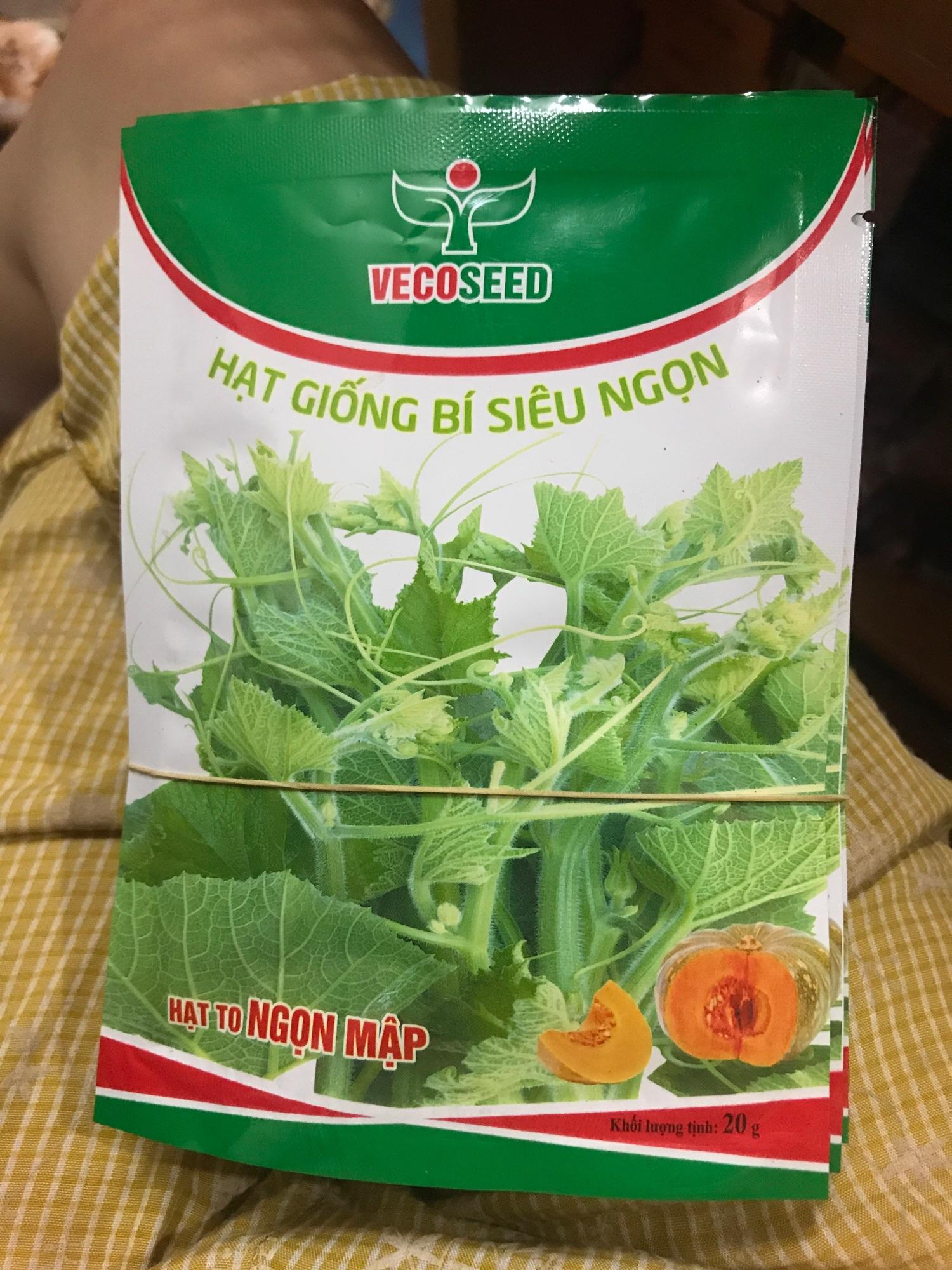 Hạt giống bí siêu ngọn gói 20g