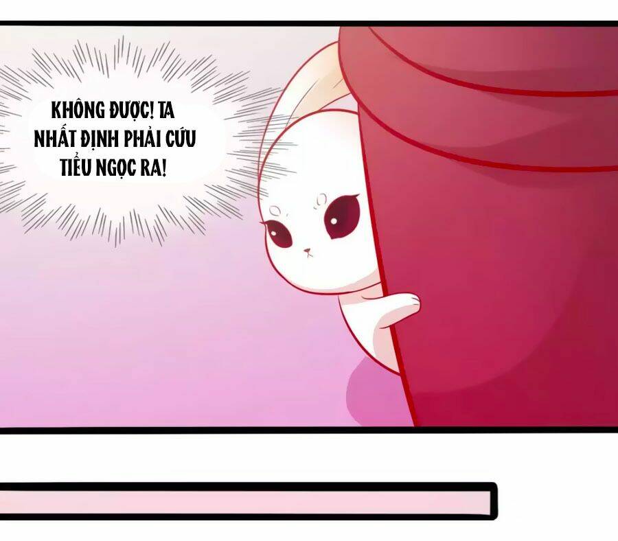 thỏ yêu tiểu vương phi chapter 49 16